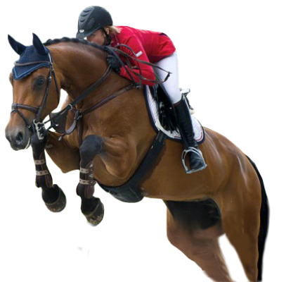 СЕМЕЙНЫЙ КОННЫЙ КЛУБ DERGACHOV